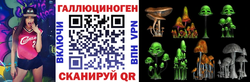 Псилоцибиновые грибы GOLDEN TEACHER  Яранск 