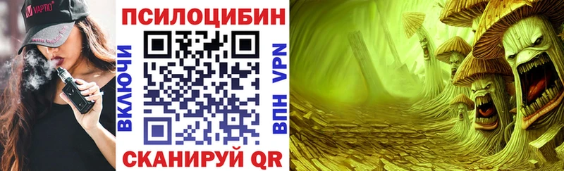 Псилоцибиновые грибы Psilocybine cubensis Яранск
